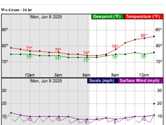 WxGrams screenshot