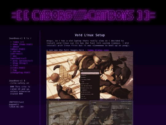 projects/void-linux screenshot