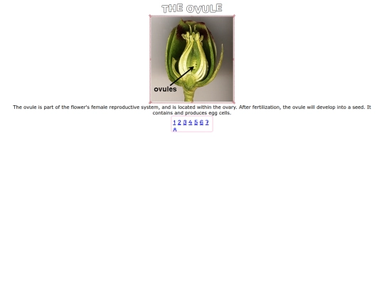 ovule screenshot