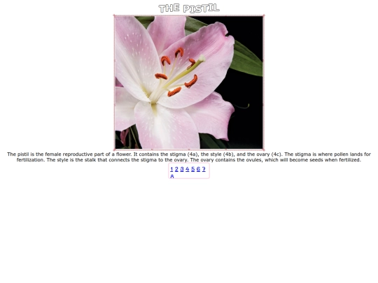 pistil screenshot