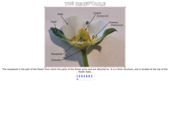 receptacle screenshot