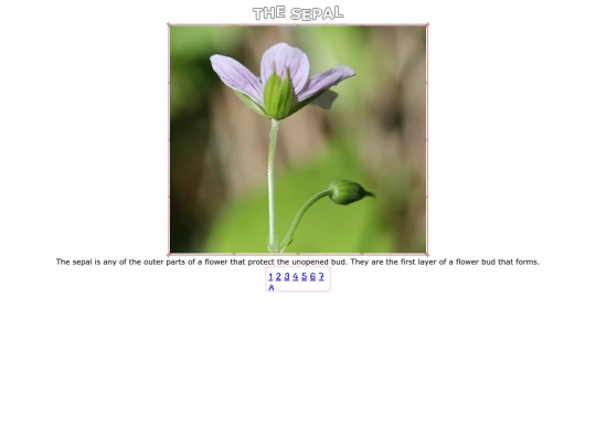sepal screenshot