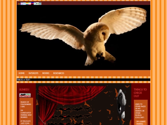 homepage screenshot