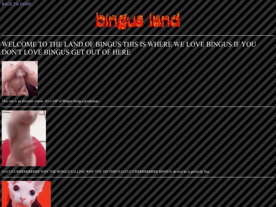 bingus screenshot