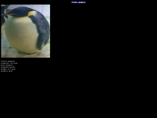 fatass_penguin screenshot
