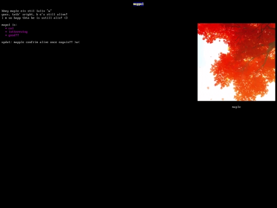 maple screenshot