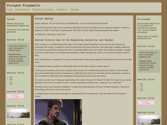 Reflections screenshot