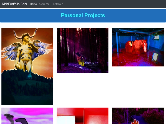 portfolioPersonal screenshot