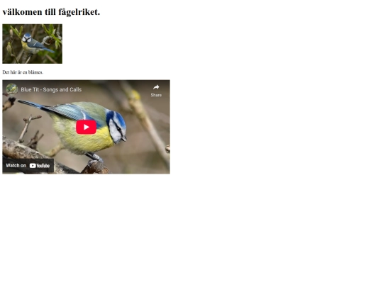 FgelFakta screenshot