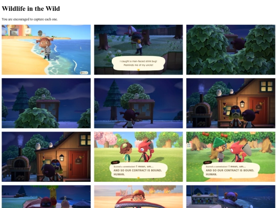 wildlife screenshot