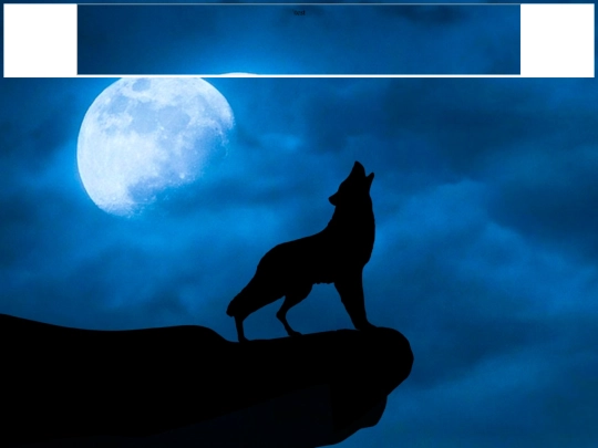test2 screenshot
