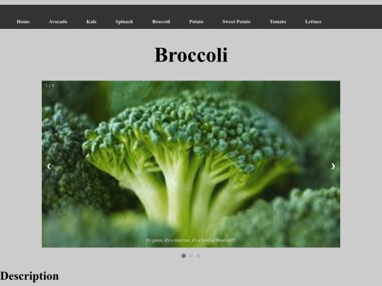 Broccoli screenshot