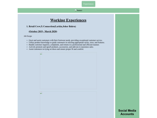 ain resume/Resume-web/experiences screenshot