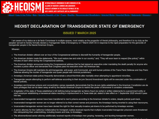 statements/heoist-declaration_trans-soe_7-mar-2025 screenshot