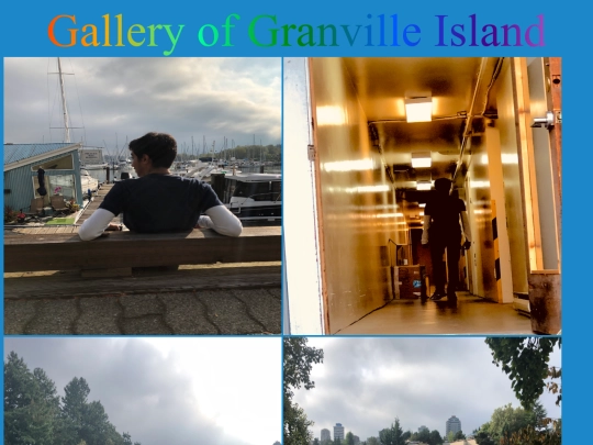 Granville Island/gallery screenshot