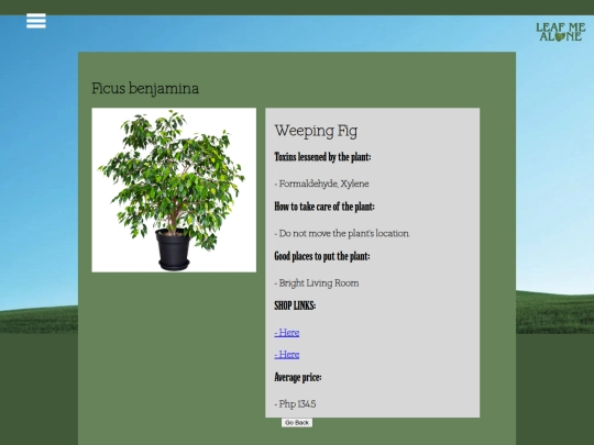 plant-info/WeepingFig screenshot