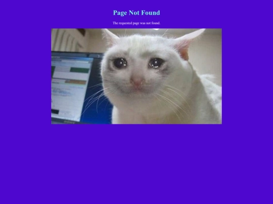 not_found screenshot