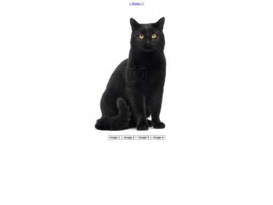 black-cats screenshot