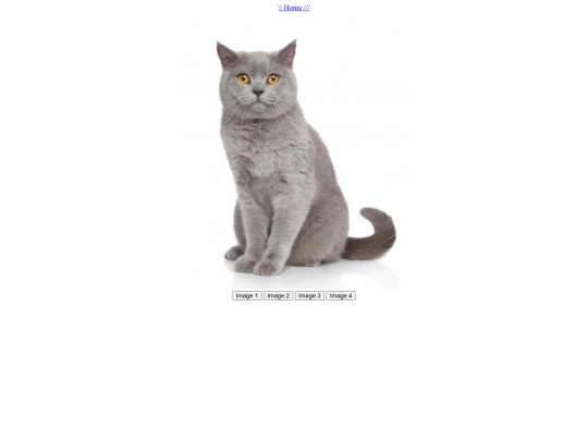grey-cats screenshot