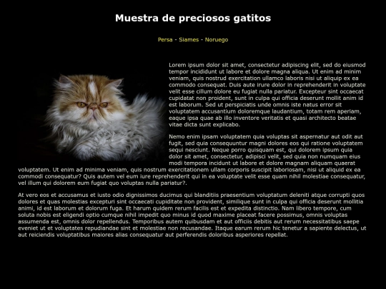 examen screenshot
