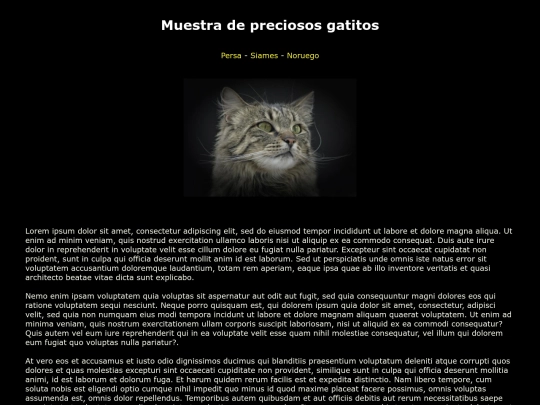 examen/noruego screenshot