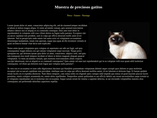 examen/siames screenshot