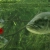 Welcome to Fishing Resource! avatar
