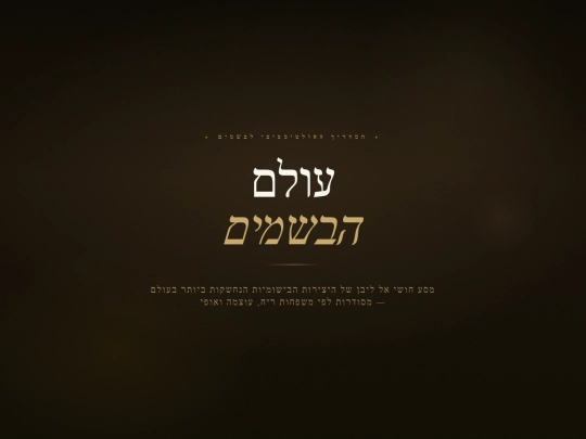 perfum screenshot