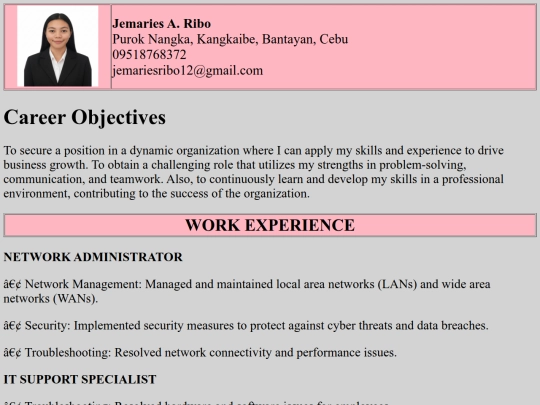 Work Experience screenshot
