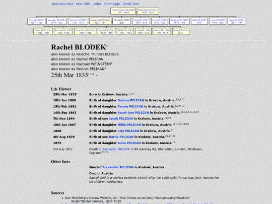indiI224 screenshot