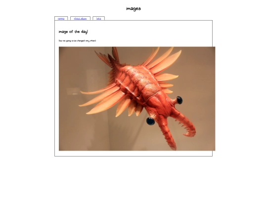 images screenshot