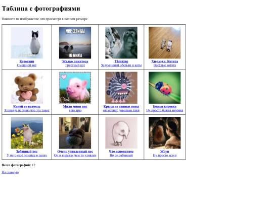 photo screenshot