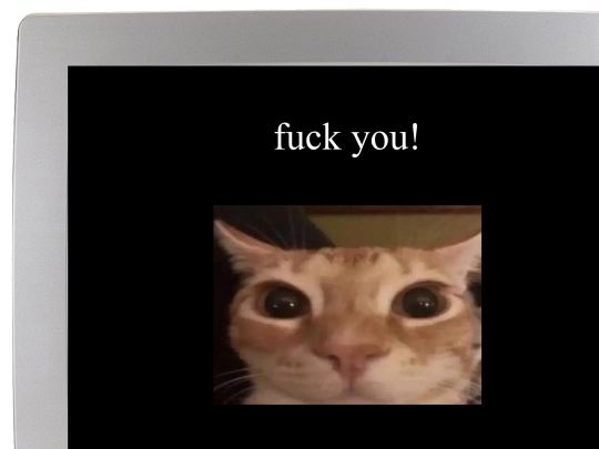 test/misc screenshot