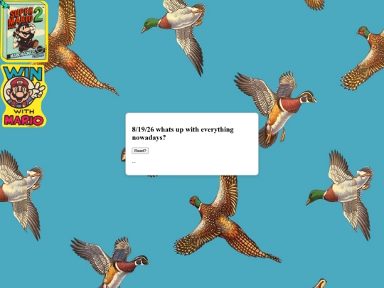 bloggo screenshot