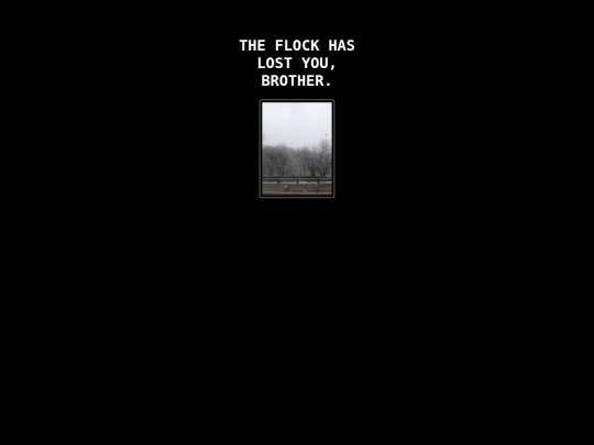 drif.terswill_be_drifters screenshot