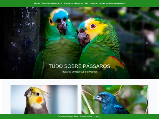 Mod12020/TudoSobrePassaros/home screenshot