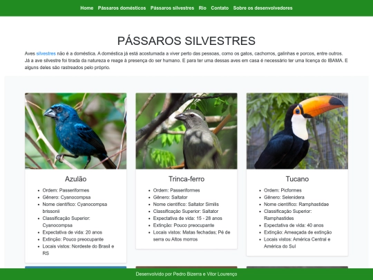Mod12020/TudoSobrePassaros/passarosSilvestres screenshot