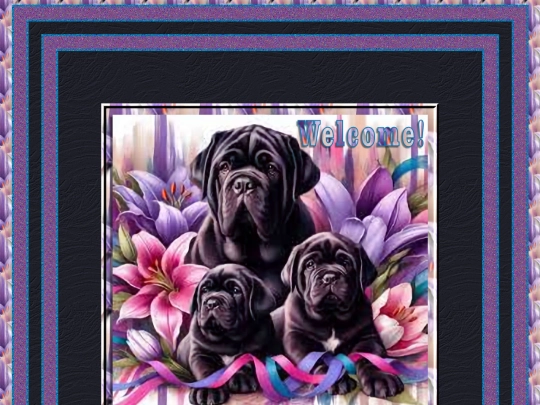 Animals/Dogs n Cats/dogs/Dogs screenshot