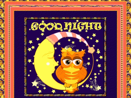 GNight/im1/1 screenshot