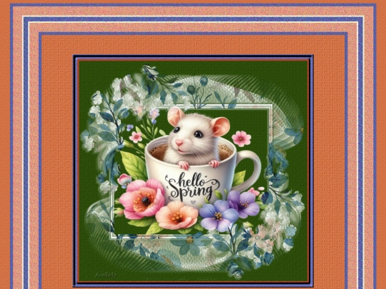 Spring/im5/1 screenshot