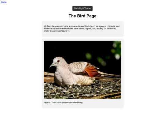 Birds screenshot