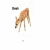 The web site of bweh avatar