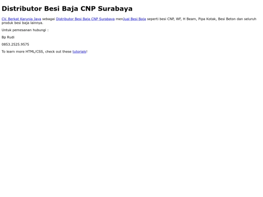 distributorbesicnp screenshot