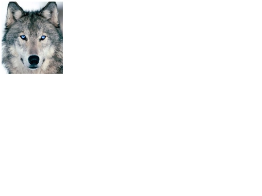 pag10 screenshot