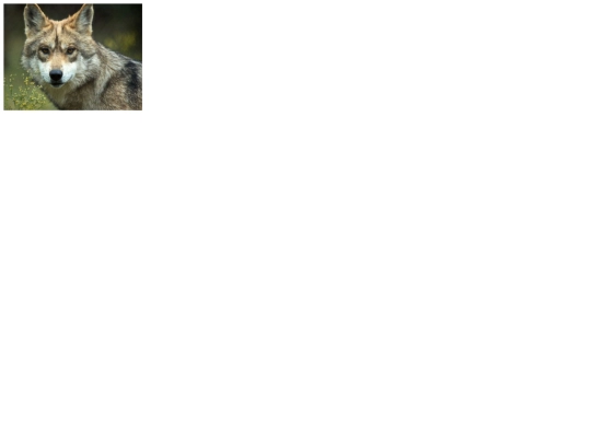 pag8 screenshot