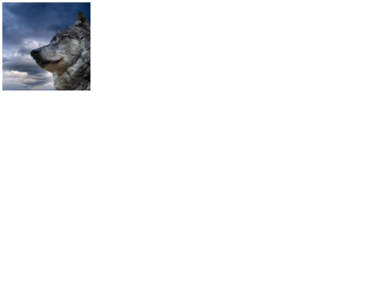 pag9 screenshot