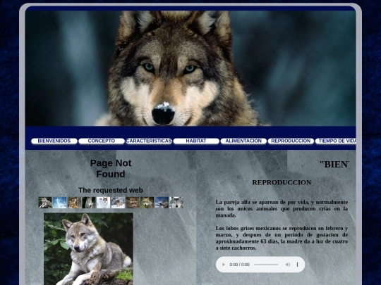 reproduccion screenshot