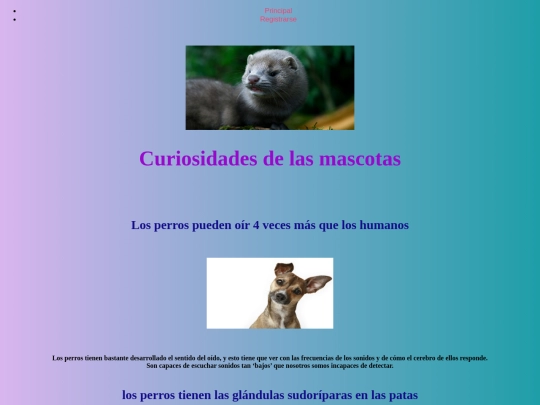 ProyectoPágina/Curiosidades screenshot
