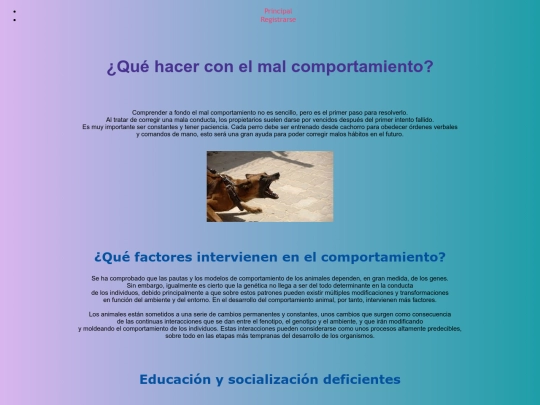 ProyectoPágina/Mal screenshot