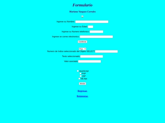 javascript/formulario screenshot